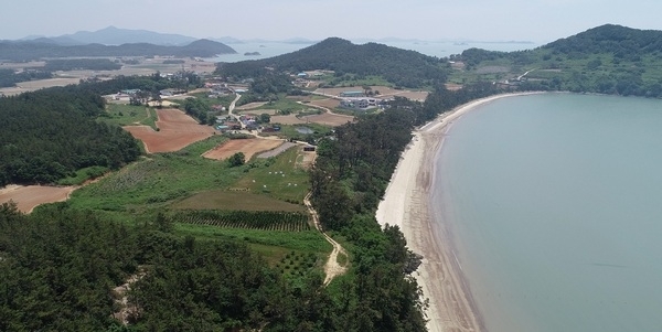 신안군, 1004섬 신안의 보물 ‘여인송 숲’ 보호를 위한 노력..'공공공지 조성을 통한 천혜의 자연유산 보호와 공공복리 증진'1