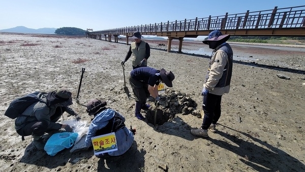 신안군, 국제적 블루카본 도시로 도약…'갯벌 탄소저장 56조 원 가치 확인'1