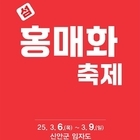 ‘제1회 섬 홍매화축제’ 3월 6일로 연기..'이상기후로 인한 개화 지연으로 홍매...