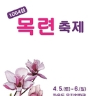 	신안군, 1004섬 목련 축제 4월 5~6일로 연기..'기습한파로 목련꽃 축제 ...