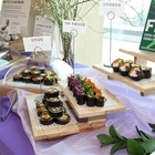 ‘신안김밥’ 기술 전수로 소득 창출 기회 제공