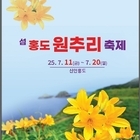 ‘여름과 비와 바람, 노란꽃으로 물들다!’..섬 홍도에서 열리는 황금빛 여름의 향...