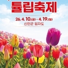 신안군, 4월 10일부터 ‘2026 섬 튤립축제’ 개최..'100만 송이 튤립 만...