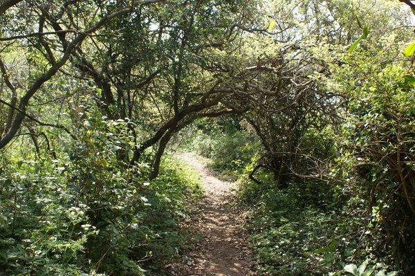 사랑터널이 있어요~~~ 1