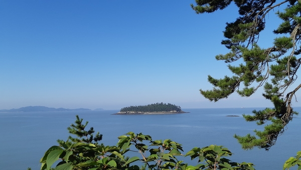 증도(쿠바81 자전거 동호회) 여행후기 3