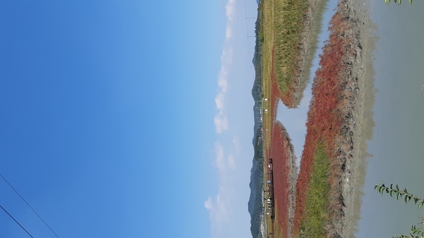 증도(쿠바81 자전거 동호회) 여행후기 4