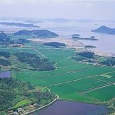 흑산예리항5