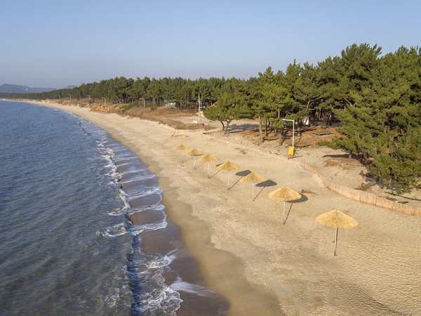 증도 엘도라도 우전해변 비치파라솔 3