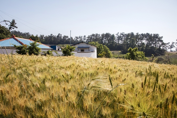 장산 마진도 전경 002 5