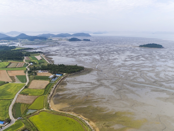 장산면 한새골장산갯벌 4