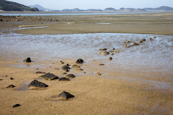 가란도갯벌 솔등해변 4