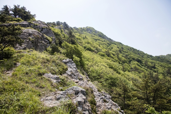 도초면 우이도 상산봉등산로 2