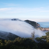 흑산면 홍도전경