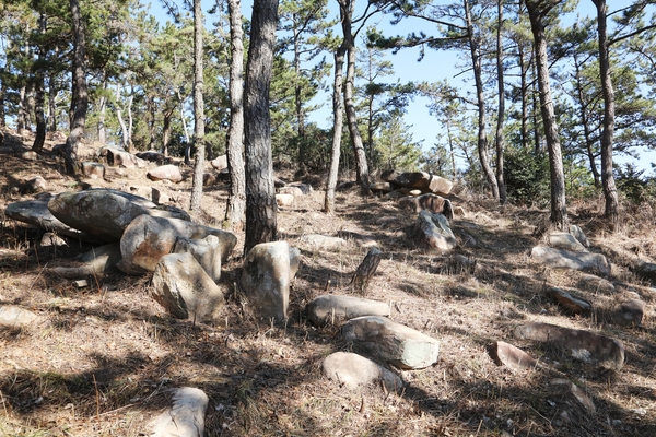 신의면 상서고분 안산성지 3