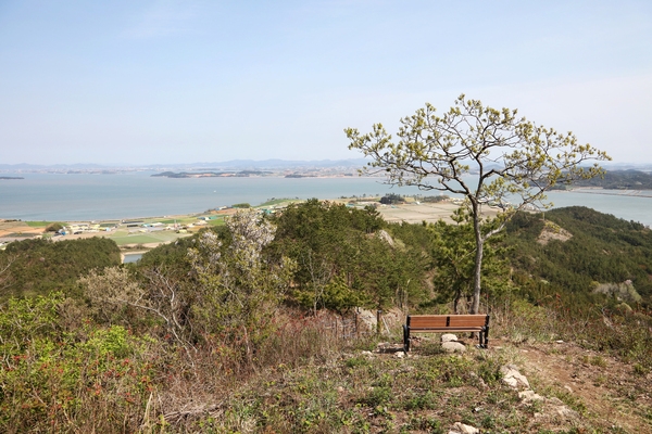 지도읍 선도등산로 2