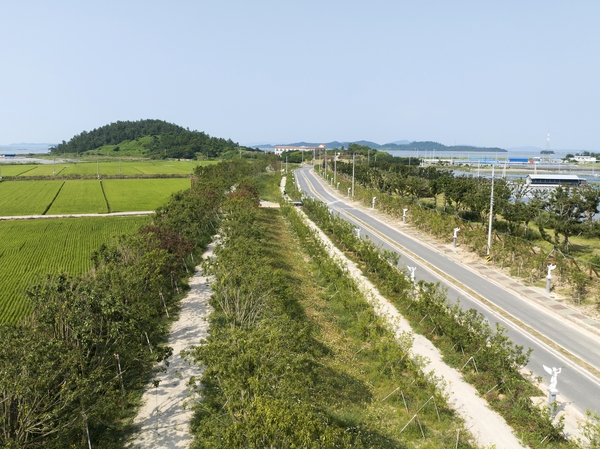 하의면 한반도평화의 숲 001 6