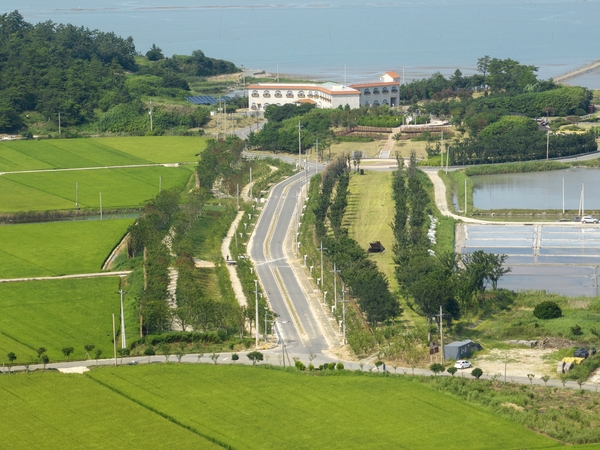 하의면 한반도 평화의 숲 002 4