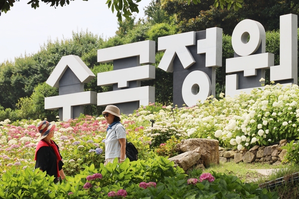 도초면 수국정원  3