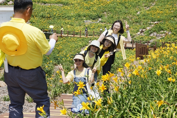 흑산면 홍도원추리 001 6