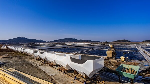 증도 태평염전 2