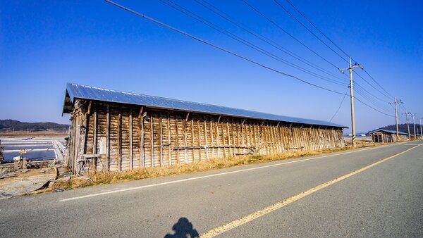 증도 태평염전 5