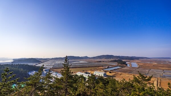 증도 태평염전 1