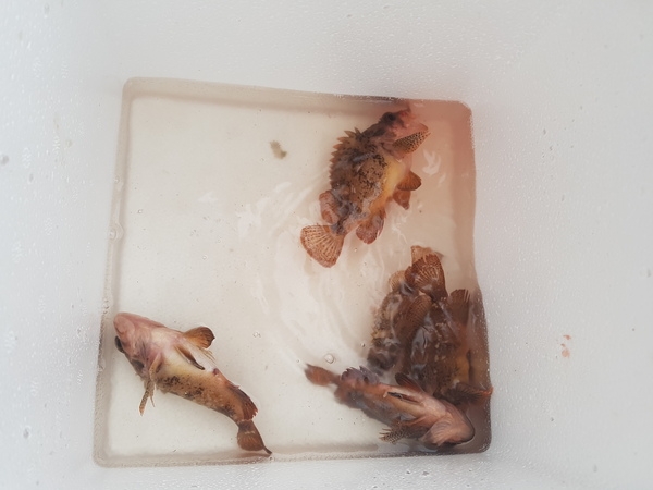 특별하고 재미있고 추억가득한 요트스테이 체험 ~~ 4