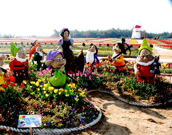 튤립축제 3회 사진입상작(가작) 1