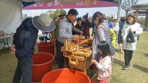 제10회 2017 신안튤립축제 1