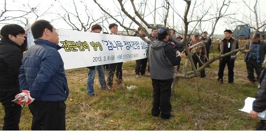 신안군, 과수 정지전정 기술지원 2