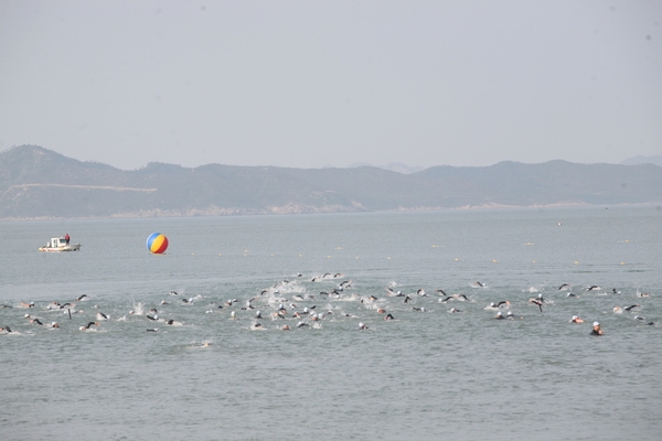 2013 코리아신안 국제 철인3종경기 대회 성료 1