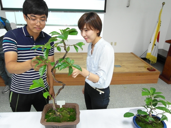 깊은 섬 귀한식물 천선과 분재 상품 개발 1