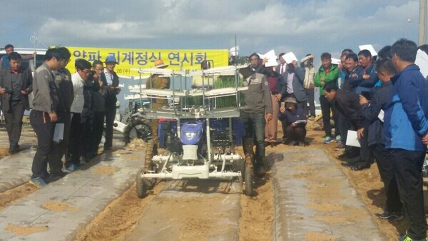 신안군 양파 기계정식 연시회 개최..