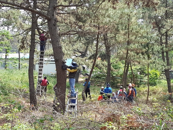 신안군, ‘풍란･석곡 자생지 복원행사’ 개최..'(사)대한민국자생란협회와 3년째 이어오고 있어' 2