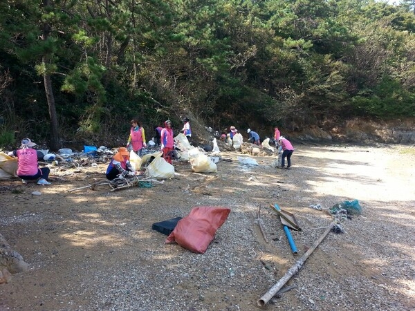 신안 지도읍 여성단체 해안가 정화 활동 전개..