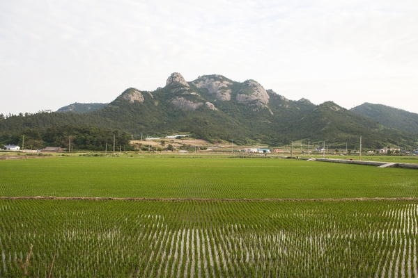 신안군, 선왕산 전국 섬 등산대회 개최..'비금도 그림산~선왕산, 하트해변' 1