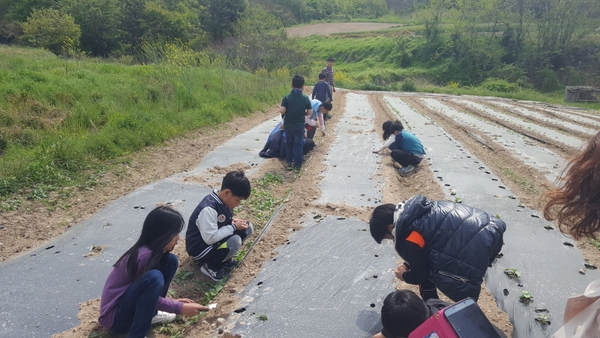 신안군, 학교4-H 활성화로 지역일꾼 양성..