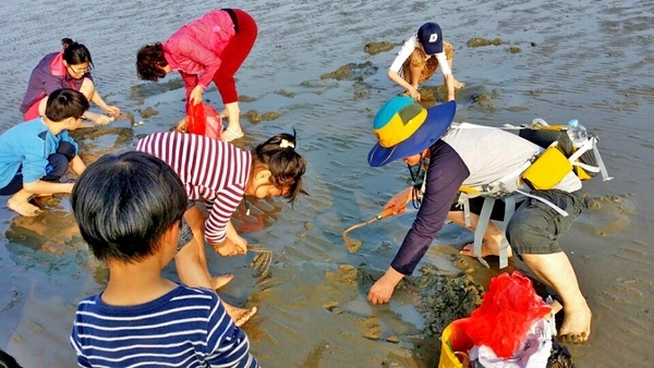 이번 여름방학은 바다가 있는 신안농촌교육농장으로 신안군 농촌교육농장 2개소 운영, 체험프로그램 풍성 1