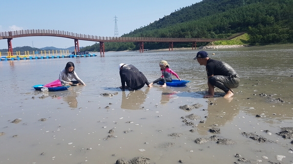 임자 제대로 만난 여름 힐링여행지, 임자도..