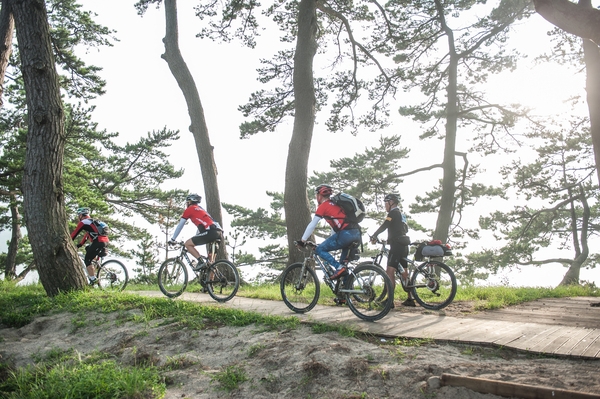 신안 ‘천도천색 천리길’ 총연장 500km 확대 개편..