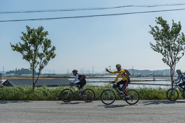 신안 ‘천도천색 천리길’ 총연장 500km 확대 개편..