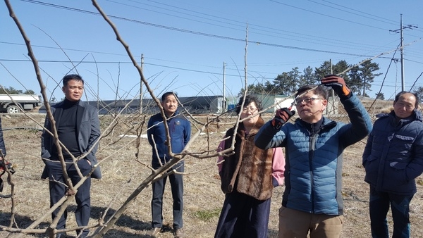 신안군, 꾸지뽕 봄철 정지전정 현장실습 교육 실시 !! 3