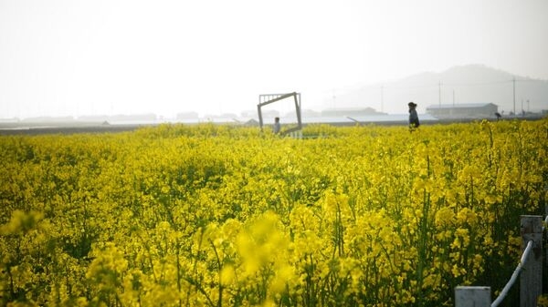 슬로시티 신안, 5월 한 달간 증도에서 보물찾기 축제 열려..