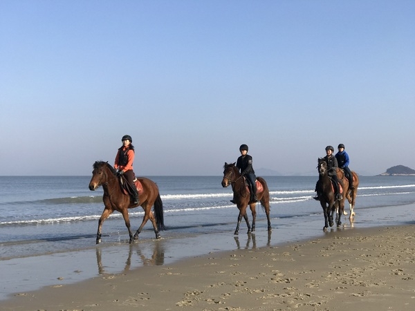 신안군, 소규모 테마형 수학여행지로 인기..