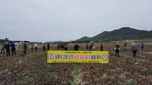 신안군청, 농촌일손돕기 봉사활동에 발벗고 나서..