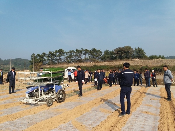 신안군, 양파 파종에서 수확까지 전과정 기계화로!!..