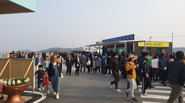 신안1004섬수선화축제 대성황..