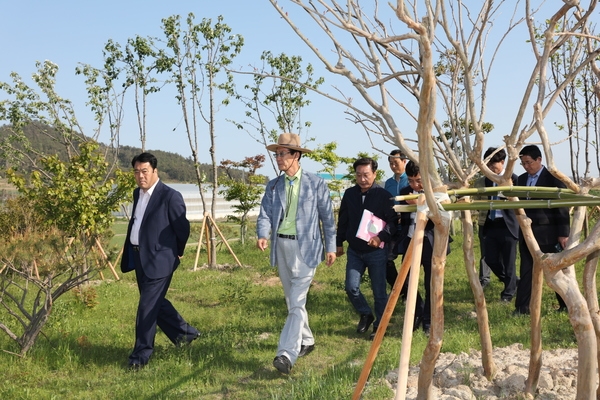 1004섬, 신안군에 천사가 나타났다!..'[화제] 시가 3억원 상당의 숲 1만 평 기부한 ‘서울토박이’' 4