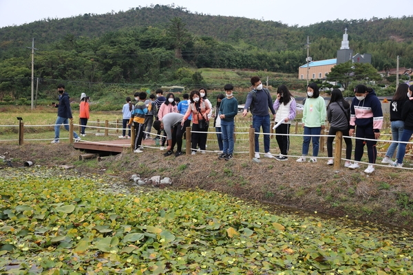 신안군 도초면 하수정화 ‘자연정화생태습지’ 준공..'마을단위 인공 하수처리시설 대체한 친환경 하수처리시설 확대 추진' 2