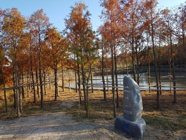 신안군, 1004섬 수변공원 준공식 개최..